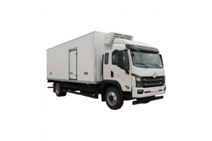 Авторефрижератор DAYUN X120 CGC 1120D